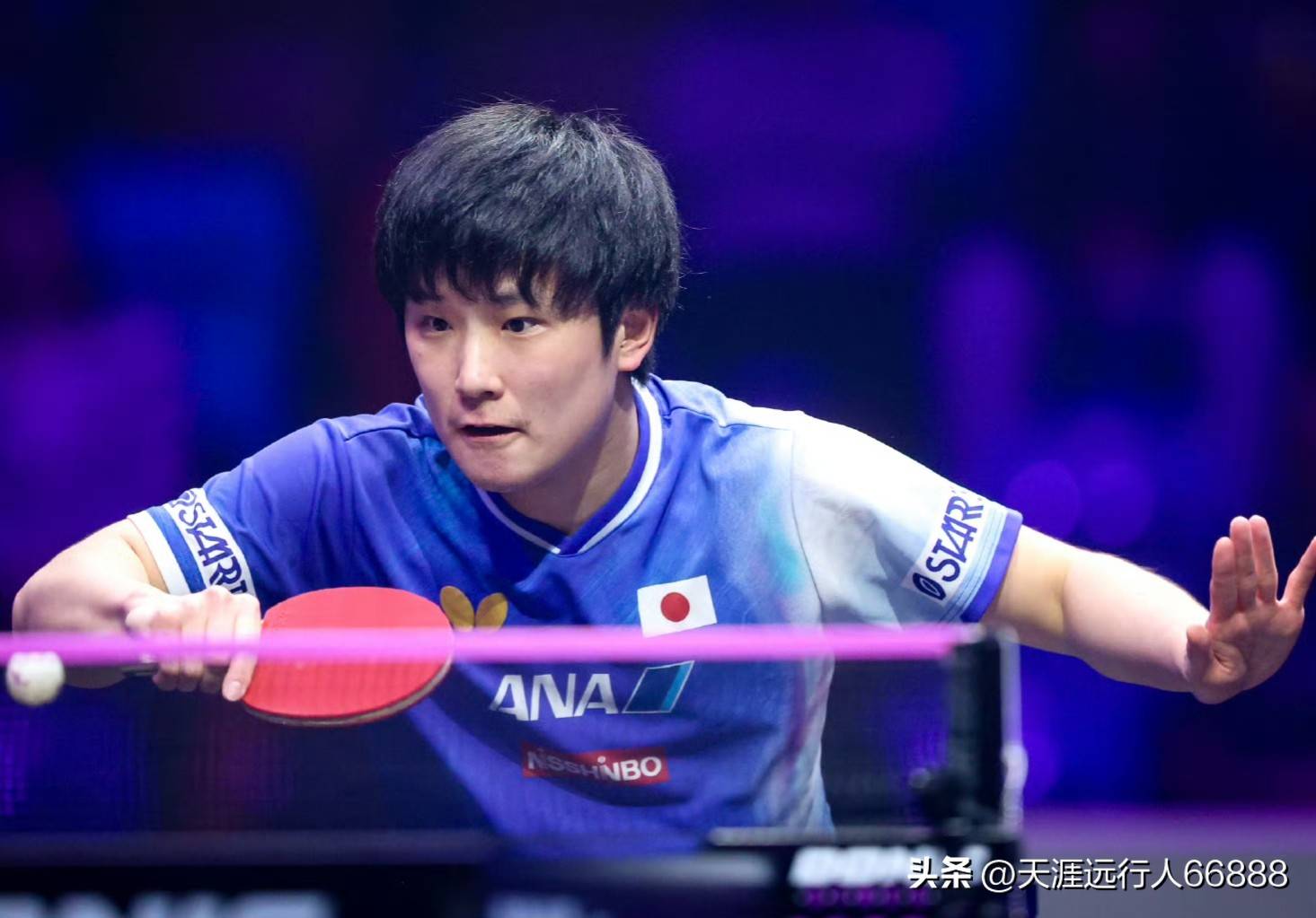 德国队碾压瑞典队,张本智和点燃赛场 德国队碾压瑞典队,张本智和点燃赛场