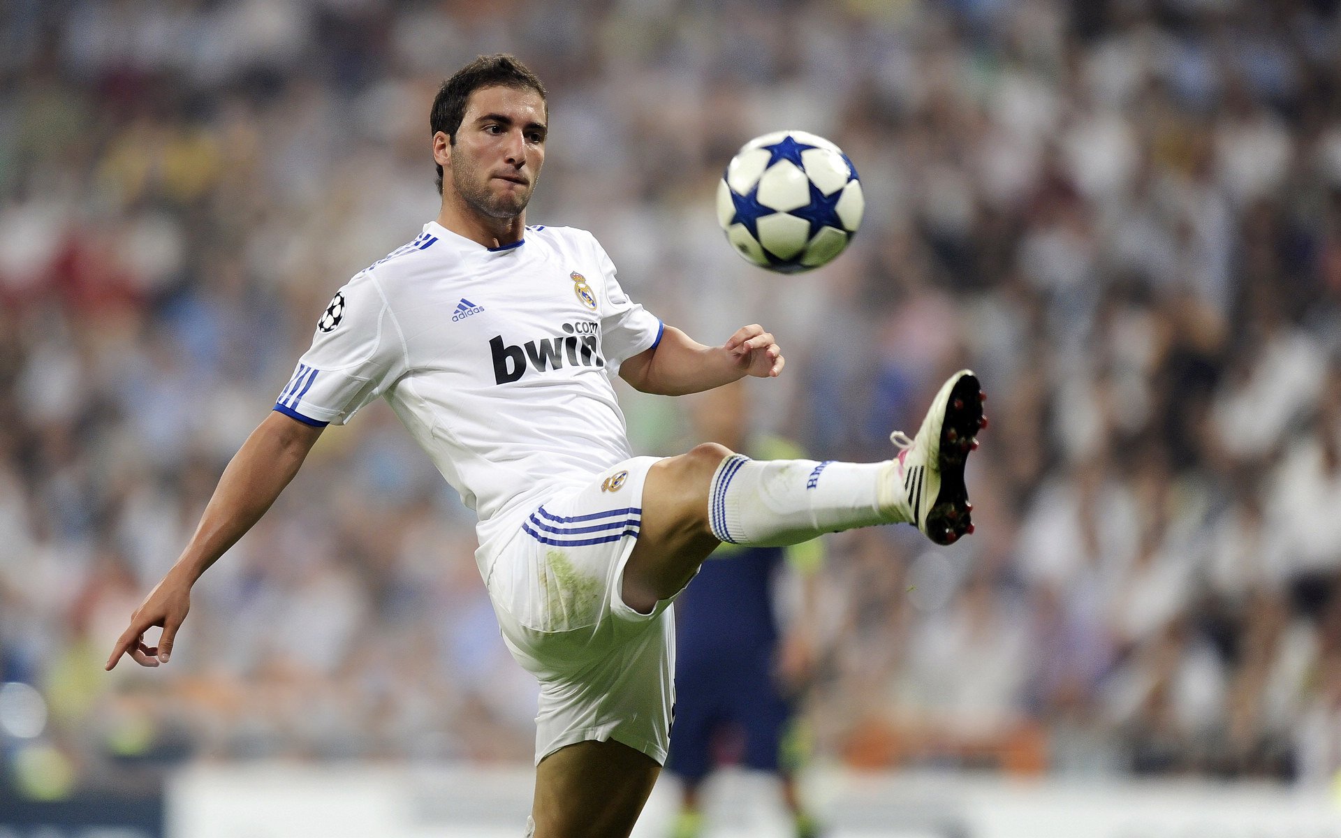 迪亚斯铸就叹息之墙，新西兰制霸卡塔尔启示录